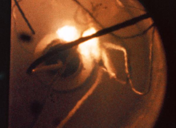 Apollo 13 Postflight Teflon Insulation Test Apollo 13 Postflight Teflon Insulation Test